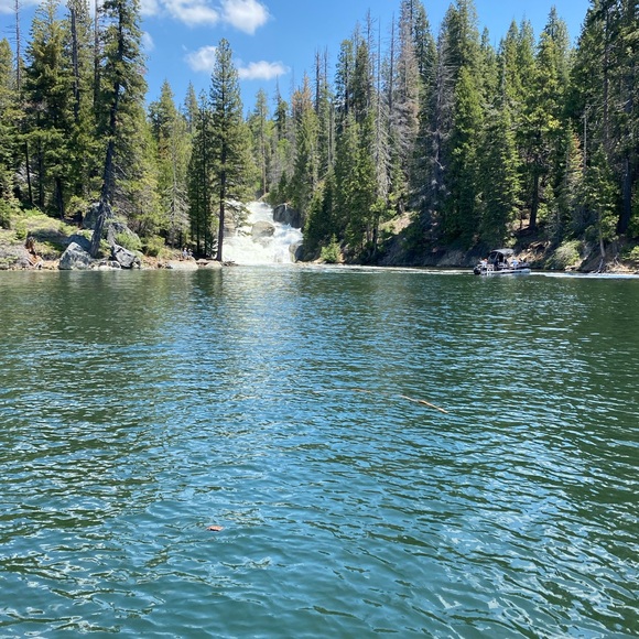 Meet your Posher, Char pronounced like SHAR😀😎 - Picture 2 of 3